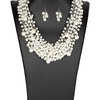 Zi collections